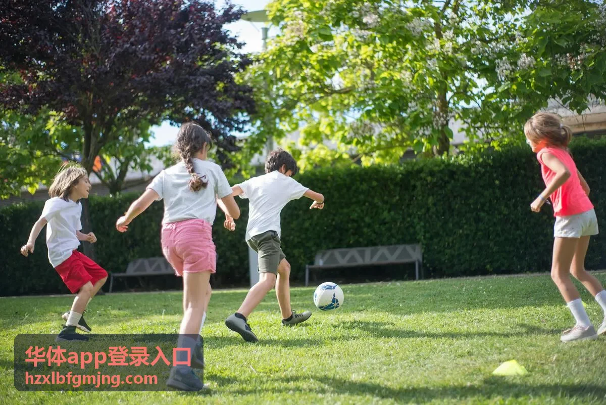 华体app登录入口档位变更与续费规则说明封面